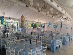 ������ ��������